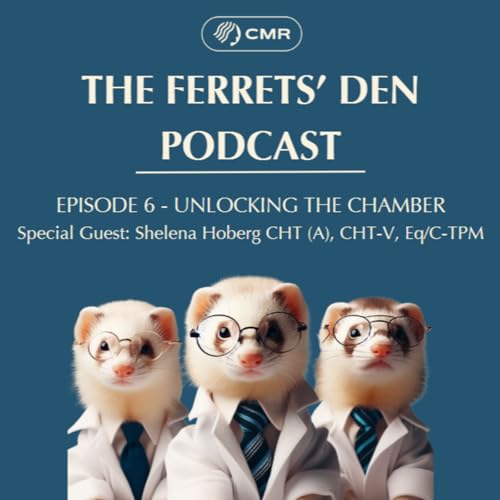 Ep 6 - Unlocking The Chamber