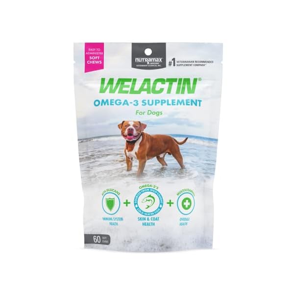 Nutramax Welactin Daily Omega-3 Supplement For Dogs, Skin & Coat Health Plus Overall Health, 60 Soft Chews