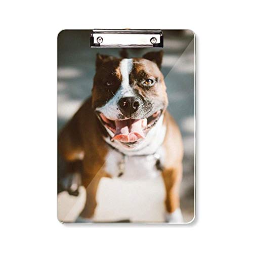 Bloc-notes avec motif bouledogue un cadeau de papeterie pour passionnés