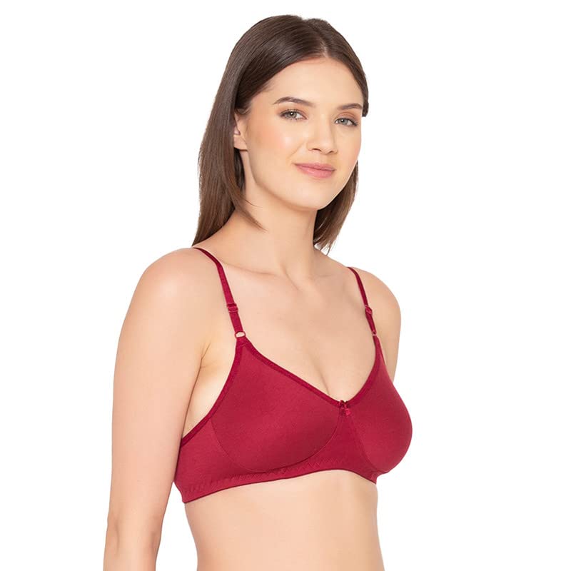 Image of Groversons Paris Beauty Women's Pack of 2 Seamless Non-Padded, Non-Wired Bra (COMB09)