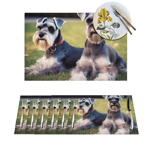 Set de table tissé lavable pour protéger la cuisine des taches