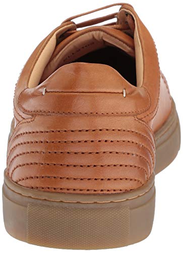 English Laundry Men's Milton Oxford3