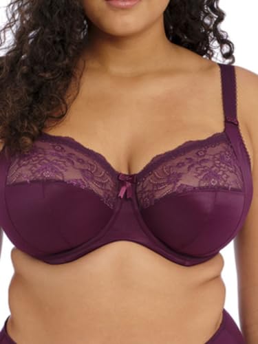 Image of Elomi Women's Morgan Stretch Lace Banded Underwire Bra