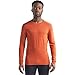 Produktbild icebreaker Herren 200 Oasis Longsleeve, roote, XXL