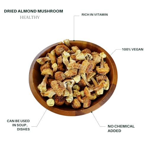 Royal Seafood USA Premium Dried Almond Mushroom Agaricus blazei mushroom 16oz 九龍堂 姬松茸煲汤 鲜香 美味 养生1磅装