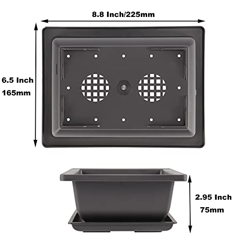 Consejos y reviews para comprar Macetas grandes para árboles méxico los diez mejores. 23 Consejos y reviews para comprar Macetas grandes para árboles méxico los diez mejores. 23
