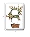 3dRose lsp_13926_6 Penjing Bonsai with Orange Flowers 2 Plug Outlet Cover