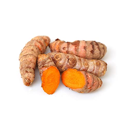 Fresh Turmeric India 200 g Approx.