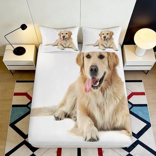 3D Impression Golden Retriever Fitted Sheet Microfibre Poche Profonde Antidérapant Décoration Chambre Matelas Golden Retriever Mattress Fitted Cover Lavable...