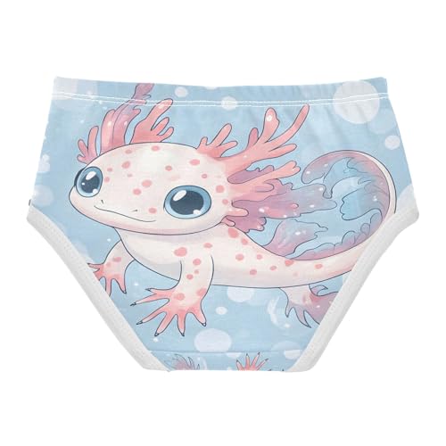 Cute Axolotl Toddler Girls's Underwear 2T 202b88522