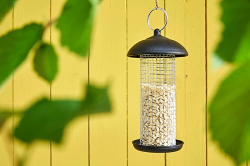 Dehner Natura Premium Wildvogelfutter, gehackte Erdnüsse schalenfrei, Ganzjahresfutter proteinreich / energiereich, hochwertiges Vogelfutter für Wildvögel, 3.4 kg