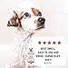 Warren London Magic White Dog Shampoo | Whitening Shampoo for White Dogs & Lighter Dog Coats | Puppy and Cat Safe Grooming Supplies | Cherry Scent | Made in USA | 17oz