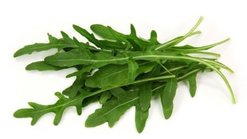 150 ERBE DI RUCOLA 2018 (alle Nicht-GVO-Erbstück Gemüsesamen!)