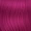 Midnight Magenta