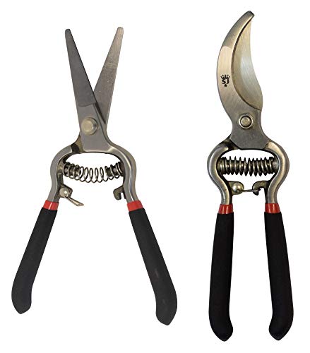 Set Vintage de Podadora y Tijeras Spear & Jackson miniatura 1
