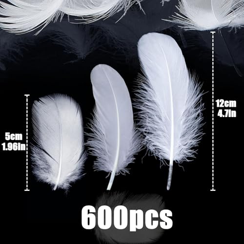 Mbsomnus Feathers for Crafting 600 Pcs White Feathers Natural Craft Feathers 5-12 cm Feathers for DIY Crafts Dream Catcher Earrings Headdress Feather Flowers Wedding Party Holiday Decoration - Image 3