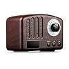 Radio Oplaadbare Mini Retro Bluetooth Speaker FM-radio 5W draagbare Wireless Music Classic Speaker 1200mAh Ondersteuning TF Card AUX for PC (Color : Brown)