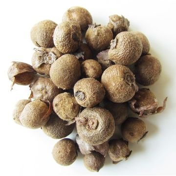 Nature Seeds Teak Wood (Sagvan) Seed 200 Seed (B09HNPKLZG) Amazon Price History, Amazon Price Tracker