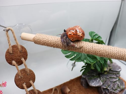 Image of Hermit Crab Climbing Toys, Wooden Hermit Crab Bridge with 2 Suction Cups, Hermit Crab Supplies, Cage Habitat Accessories for Hermit Crab