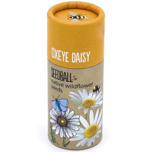 That's Crackers! Oxeye Daisy | Luxury Tube of 20 Seedballs | Cracker Filler | Little Gift