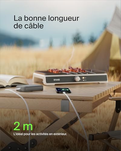 Belkin Câble USB-C (Câble de Recharge Boost Charge USB-C vers USB, Câble USB Type-C pour Note10, S10, Pixel 4, iPad Pro, Nintendo Switch, etc 2 m, Blanc) CAB001bt2MWH