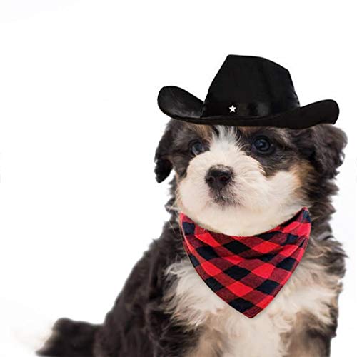 Cool Pet Dog Cat Cowboy Costume Hat and Bandana Scarf Set of 2