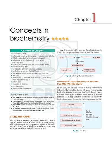 Image of Conceptual Review Of Biochemistry 4Ed (Pb 2022)