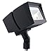 RAB Lighting FFLED39Y/PCS AREASITE, Bronze