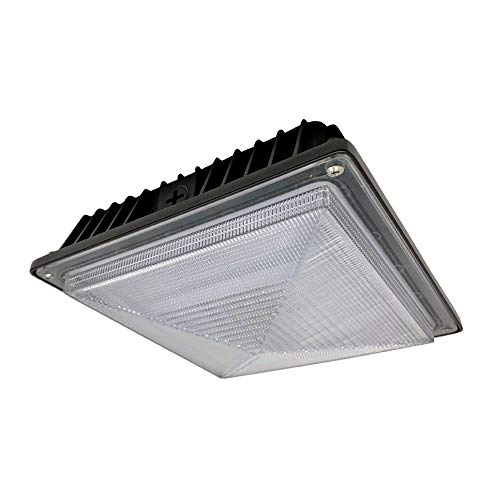 Howard LED Canopy Light | Indoor/Outdoor Gas Station Parking Lot Warehouse Workshop | 39W 5000K Natural Daylight White 3100 Lumens | Die-Cast Aluminum Waterproof Housing | 120v-277v