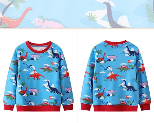 Boys Sweatshirts Long Sleeve Sweatshirts T-shirts Crew Neck Cotton Casual Sweatshirts Cartoon Tops for Boys-2532