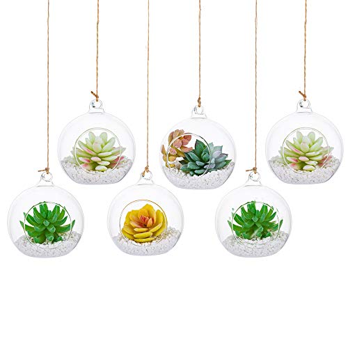 Terrarium en Verre Suspendu 6 Pièces Grande Ouverture Vase Plante Boules 10cm Fleur Vase Pot Boules De Verre Creativesverre la Conception de Bricolage de Jardin de...