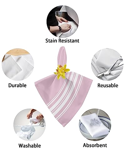 Servilletas de Tela Set x4 Rayas Rosas 20x20 pulg miniatura 6