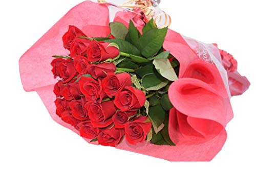 フラワーギフト fleurcocoオリジナル 深紅のバラ 花束20本 誕生日 お祝い フラワーギフト fleurcocoオリジナル 深紅のバラ 花束20本 誕生日 お祝い