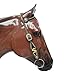 Western Leather Headstall and Breast Collar Tack Set for Horses Black and Golden 3D Dollar Sign Studs and Dazzle Work Gladiator Style Breast Collar Full Horse Barrel Racing
