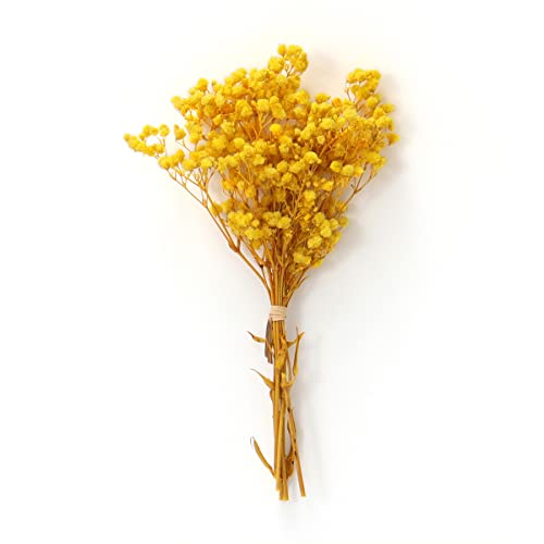 Mini ramo de flores secas Gypsophila 12cm natural miniatura 1