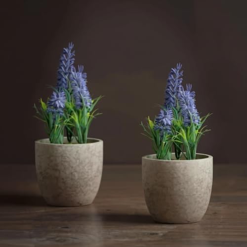 Kit 2 Lavanda Nevada Artificial Vaso Liso Arranjo Decoração Casa ...