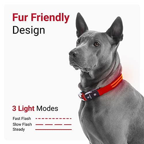 Tractive Gps Pet Tracker With Led Light Up Dog Collar - Waterproof, Gps Location & Smart Activity Tracker, Unlimited Range (Red, Large) #TOP5