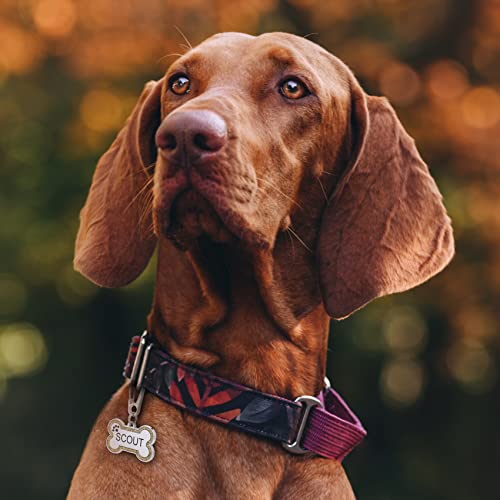Aimeng Personalized Stainless Steel Pet ID Tags with Glittery Bone Design - DEEP Engraved Dog Tags Engraved for Pets Customized with 5 Lines Dogs and Cats Pets — view 2