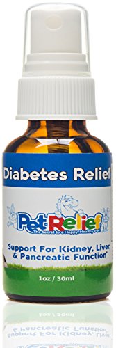 Best Dog Insulin