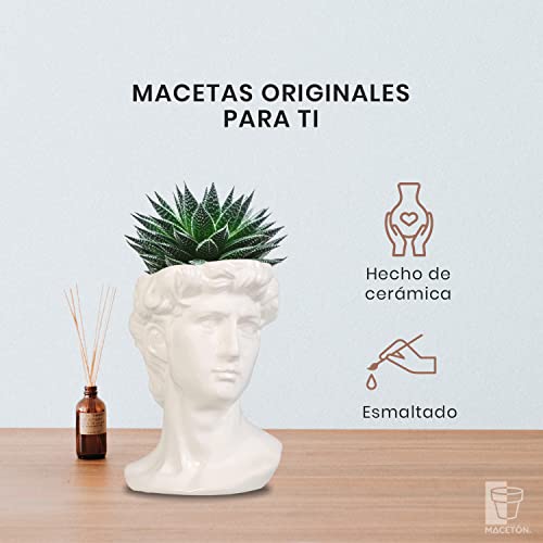 La Mejor comparativa de Macetas mexico favoritos de las personas. 20 Imagen adicional