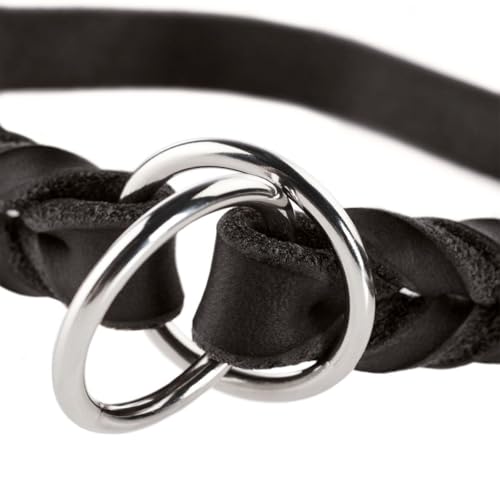 Collier de dressage en cuir HUNTER SOLID EDUCATION idéal pour les balades