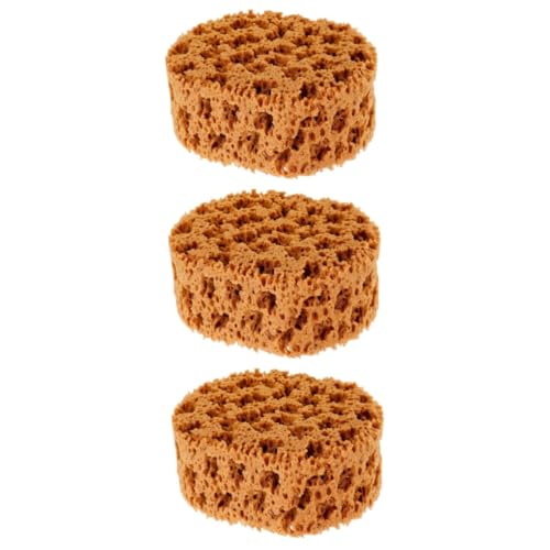 Operitacx 3pcs Artistic Precision: Blending Sponge Brush Set for Artists Beginners Face Paints and Cosmetics and Comfortable