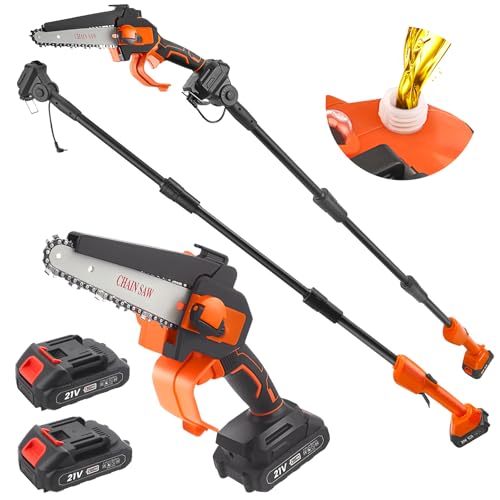 2 en 1 Elagueuse Sur Perche 6 Pouces, Mini Tronconneuse a Batterie, Moteur Brushless, Extension Jusqu'à 2.4 m, 2 Batteries, Elagueuse Sur Perche Tronconneuse Electrique pour Branches et Jardin