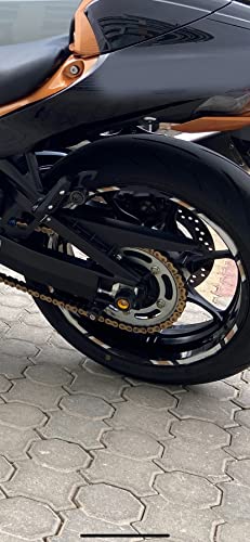 Protection fourche moto de qualité supérieure pour Hayabusa 1300 - 6
