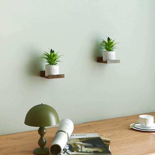 Image of Small Brown Floating Shelves for Wall, Shelf with Lip Set of 2, 4 in