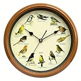 [Mélodie de la nature à la maison] Profitez des mélodies horaires de douze oiseaux chanteurs bien connus des régions britanniques et européennes, ajoutant une bande sonore naturelle à votre vie quotidienne.
