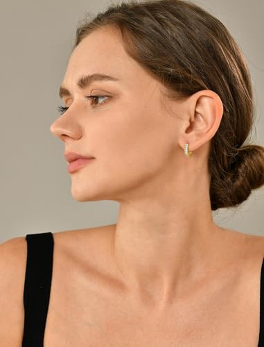 YL 13mm Halo Hoop Earrings 925 Sterling Sliver Round Huggie Earring Princess Cut Birthstone Jewelry for Women2