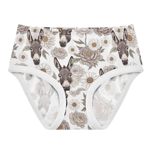 Joisal Girls Underwear Toddlers 2t Cotton Cute Panties Girl Aesthetic Briefs Undies Kids Cartoon Grey Donkey Flowers