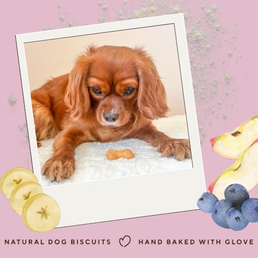 Betty Miller Grain Free Dog Treats - Banana, Apple & Blueberry Bones - 1kg Bulk Dog Treats - British Baked Dog Biscuits - Image 3