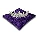 Resonant Energies 8.5 Inch Square Purple Crushed Velvet Tiara & Crown Display Pillow Stand, 'Bean Bag' Support, TPV36X